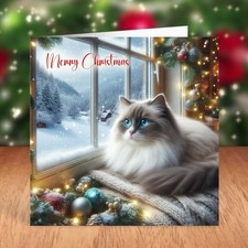 Ragdoll Cat Christmas Card