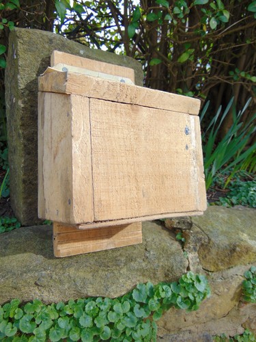 Bat house roost box - roost, wooden