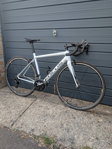 Focus izalco race carbon - izalco, road