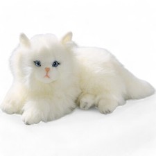 Carl Dick  Persian Cat white