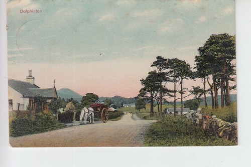 View horse cart at - view, of