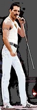 FREDDIE MERCURY QUEEN REAL