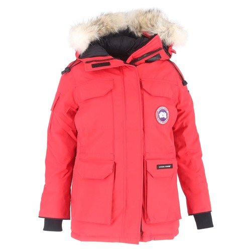 Canada goose expedition - goose,