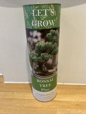 Bonsai Growing Kit - Let’s