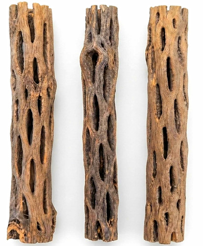 Natural cholla wood logs - 3x,