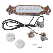 6 string Single Coil Acoustic