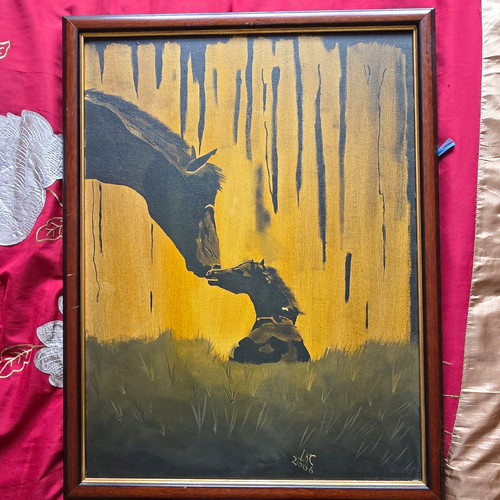 Framed horse foal canvas - horse,