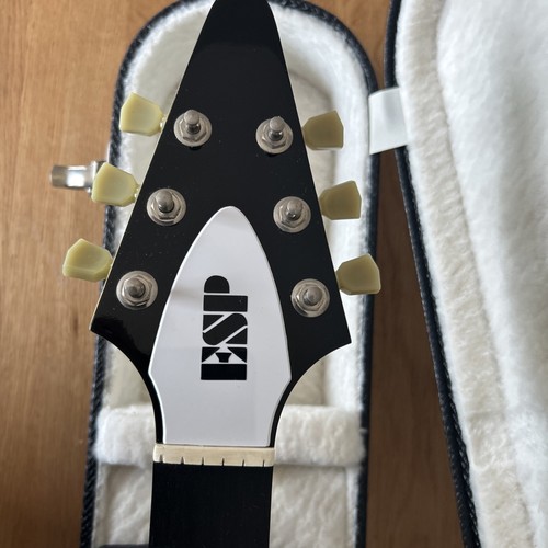 Flying truss rod cover with - cover,