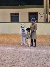 Le Beau Cheval Lead Rein Set.