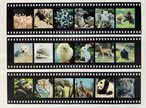Images personalised - 15,