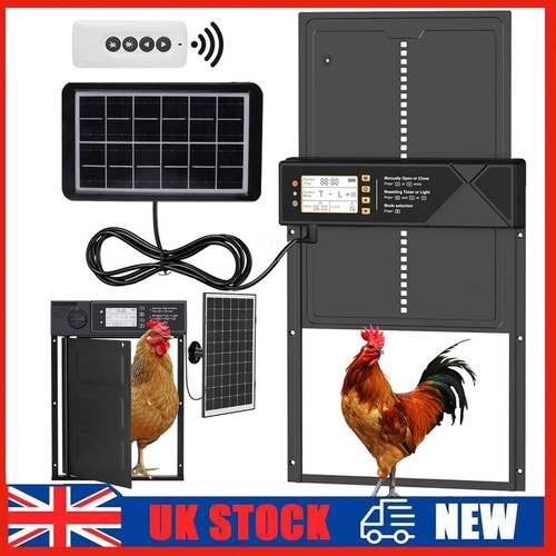 Automatic chicken coop - chicken, door
