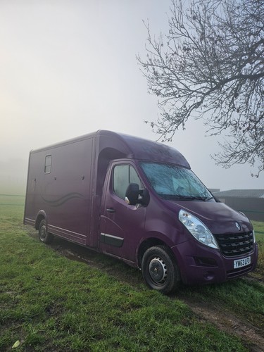 Renault master horsebox - renault,