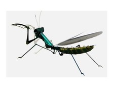 Praying Mantis Metal Model Blue Insect 3D Laser Cut Metal Model DIY Kit Gift