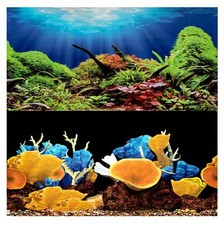 Aquarium Fish Tank Background