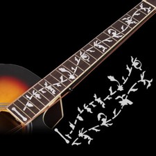 Electric Acoustic Guitar