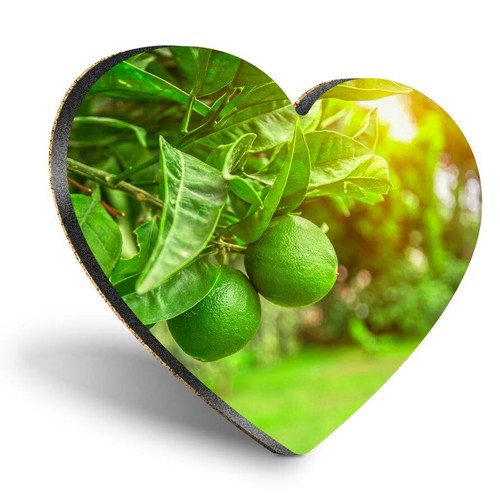 Heart mdf coasters citrus - heart,