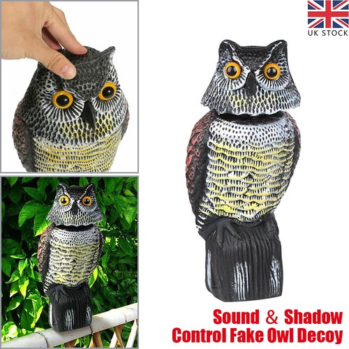 Real owl decoy deterrent 360 - owl,