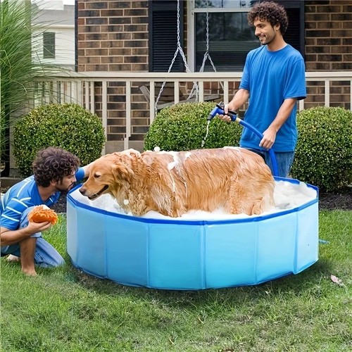Large foldable dog swimming - large,