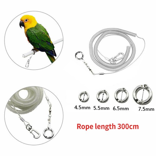 Hot parrot bird lead leash - hot,
