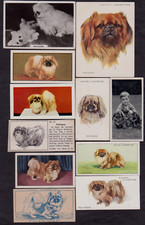 11 Different Vintage PEKINGESE