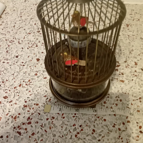 Birdcage style novelty - birdcage,