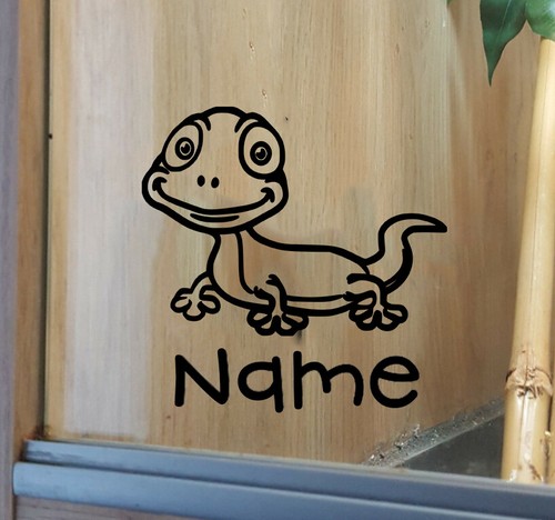 Gecko customised vivarium - **,