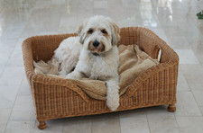 Large wicker dog bed