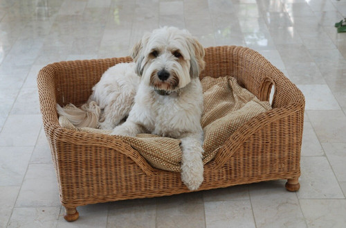 Large wicker dog - , bed