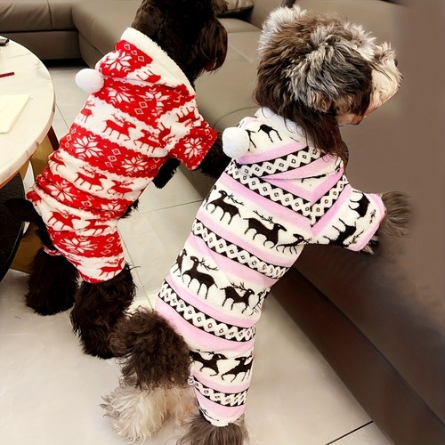 Winter dog christmas - winter,