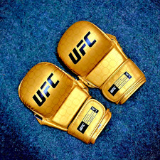 UFC Gold MMA Shooter Fight