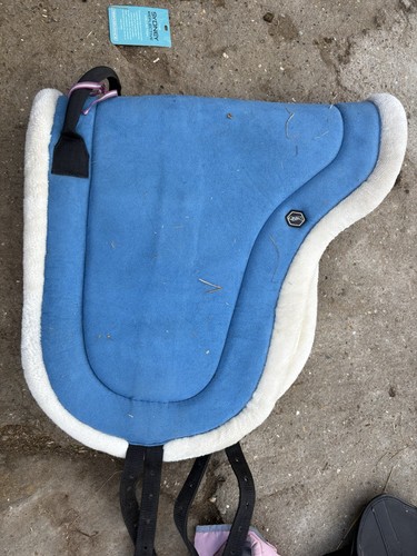 Qhp sky blue - blue, bareback