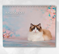 Ragdoll Cat Calendar 2026