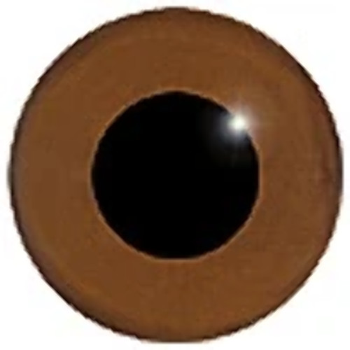 Hazel eyes crystal glass - hazel,