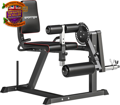 Seated leg extension - leg, curl