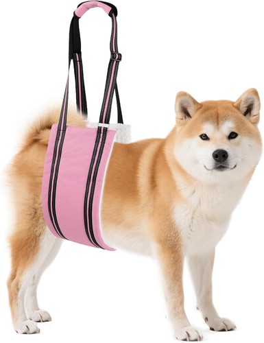 Dog support harness - support,