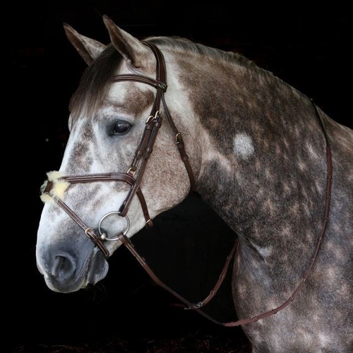 John whitaker vienna mexican - whitaker,