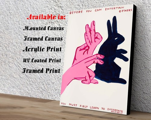 David shrigley entertain - david,