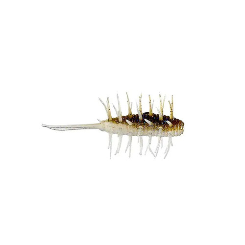 Hideup coike shrimp - , or