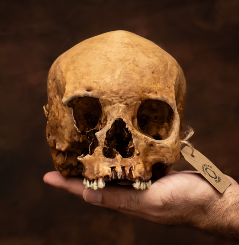 Hand painted human skull - hand,