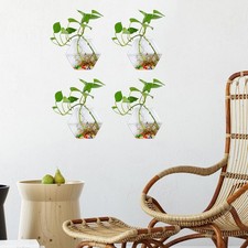 Geometric Glass Vase Fish Tank