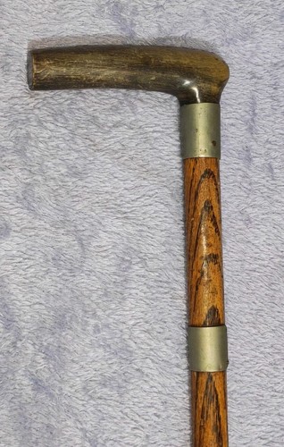 Antique edwardian bovine horn - edwardian,