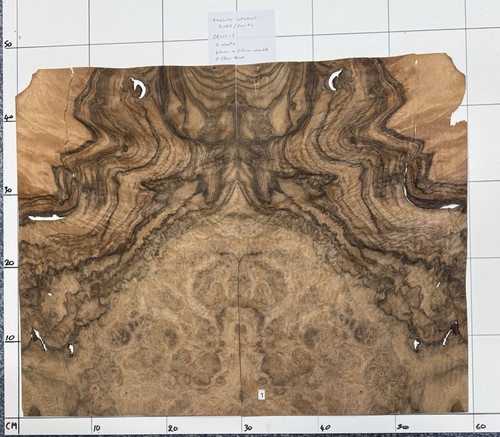 English walnut burr figured - english,