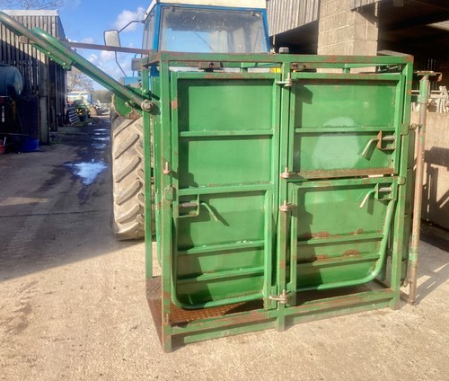 Cattle crush with - cattle,