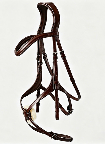 Arc grackle anatomical - bb,