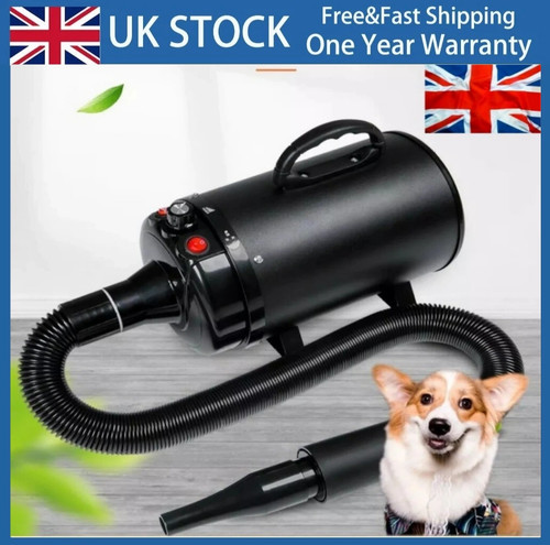Professional pet hair - professional, dryer
