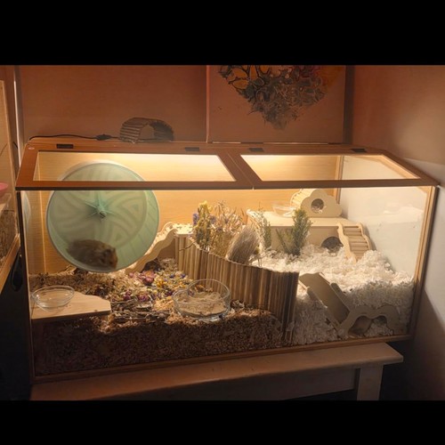 Large wooden hamster - large,