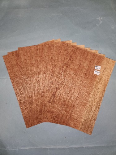 Consecutive sheets sapele - 9,