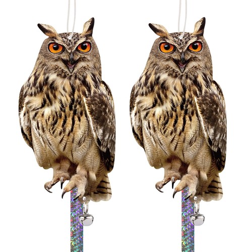 2pcs plastic owl bird - bird, scarer