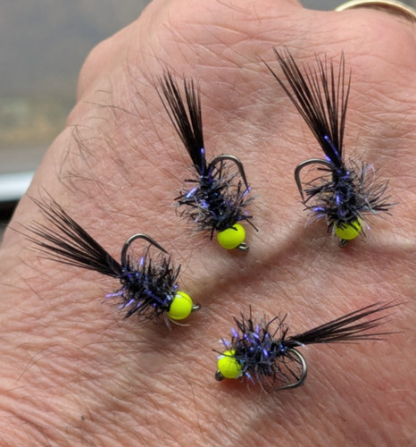 Straggle fritz spider fly - x,
