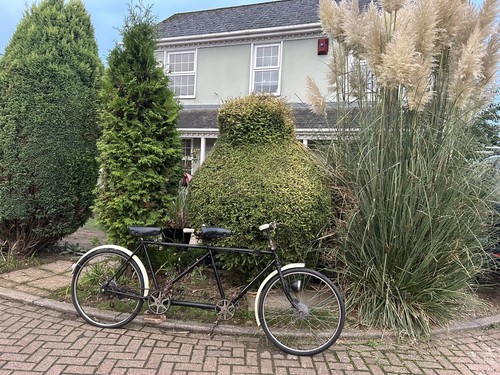 Vintage triumph tandem bicycle - tandem,